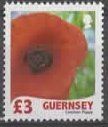 Tutti i francobolli: GUERNSEY : roter Mohn    (33 – Usato da Ruggell venduto da Masescha