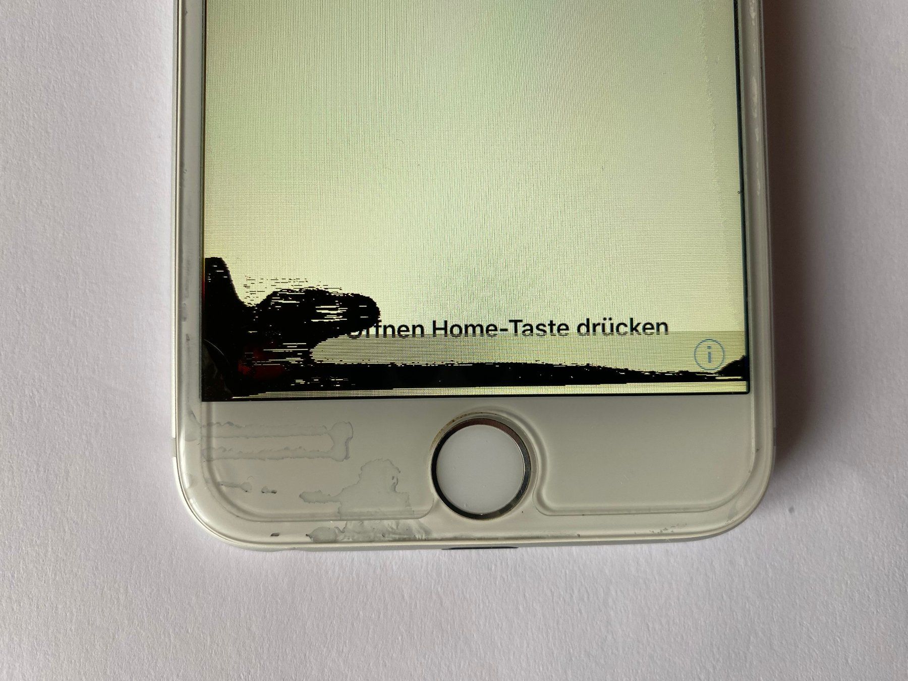 Apple Telefoni cellulari / Smartphones: Apple iPhone 6 / 64GB / Silber – Usato da Ottikon venduto da Life3 7