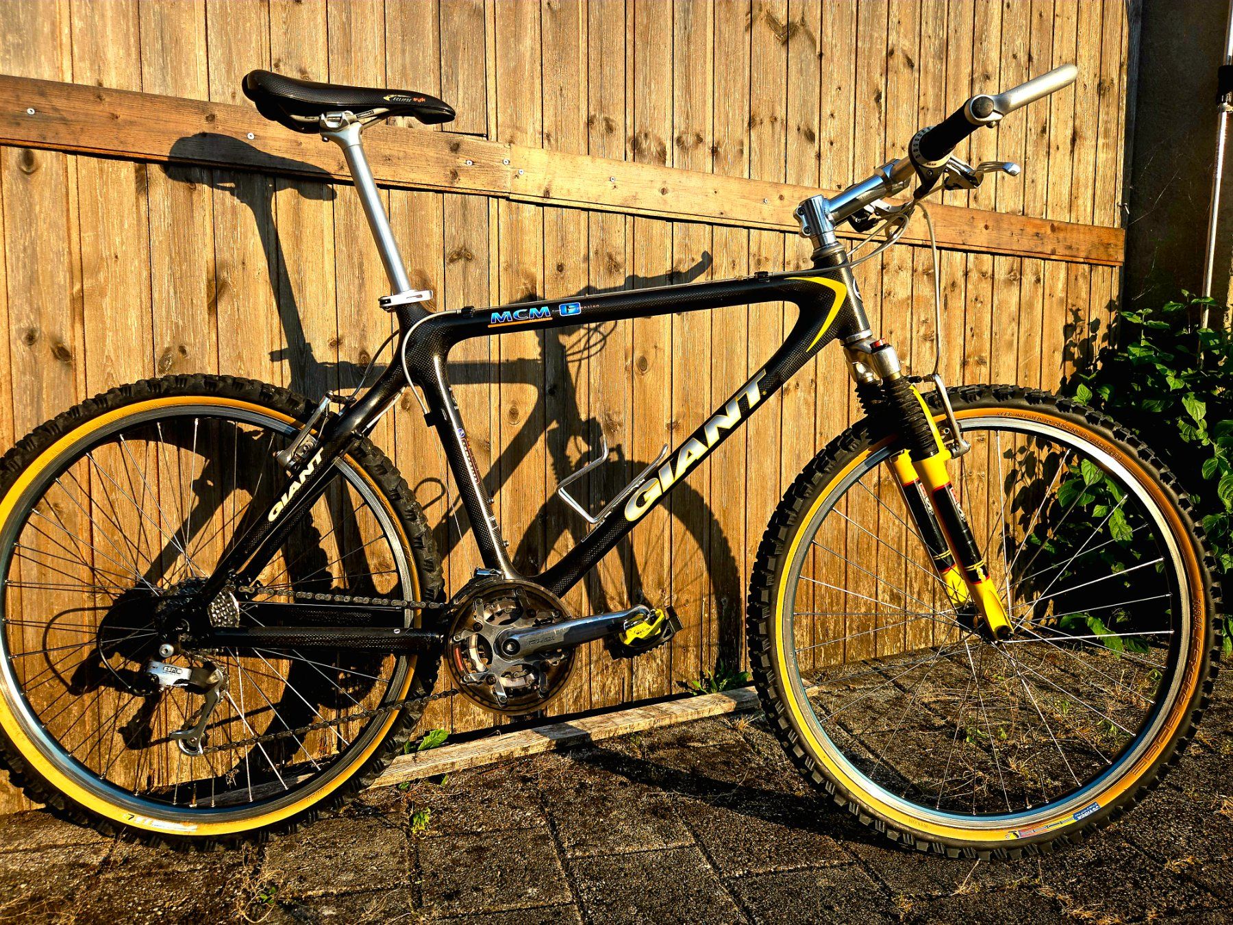Giant Biciclette: GIANT MCM carbon MTB Retro Kult Bike – Usato da Ammerswil AG venduto da Undenheim