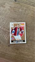  Panini Extra Sticker Erling Haaland WM 2026