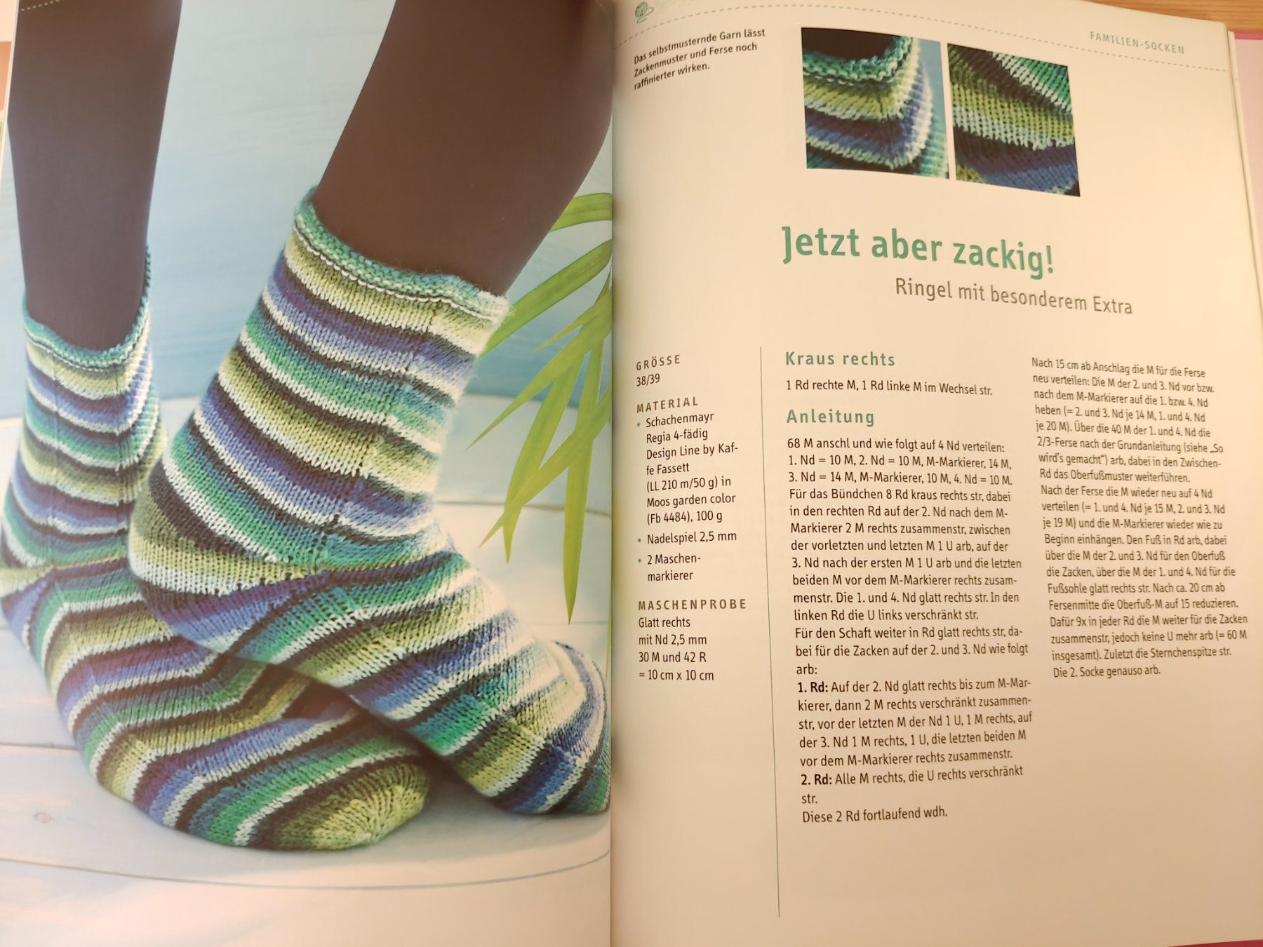 Bücher: Das grosse Sockenbuch / Topp 2013 - 45 tolle Designs – Gebraucht aus Muttenz von Negnuja 3