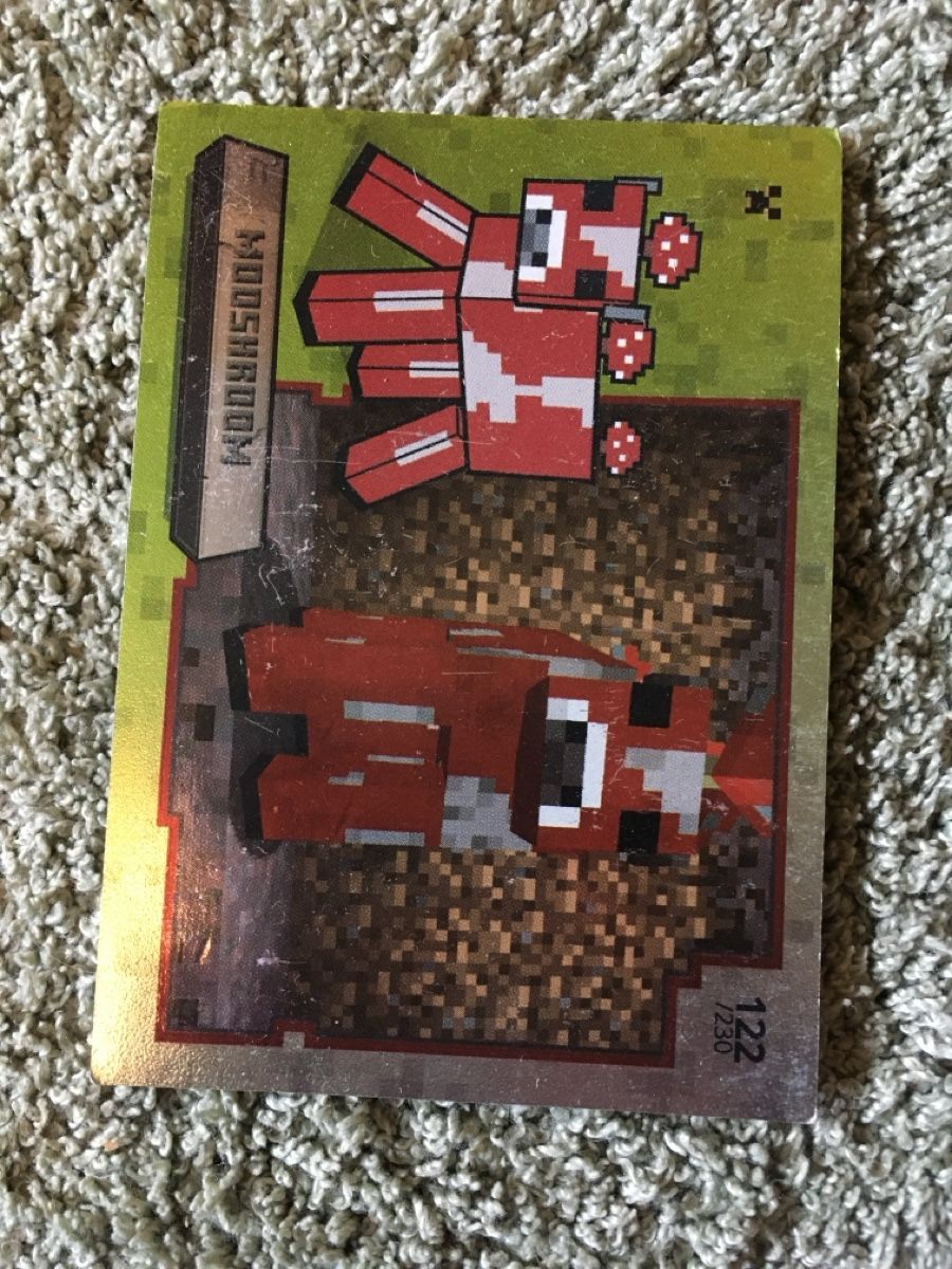 Karten: Minecraft Sammelkarten verschiedene Karten – Gebraucht aus Zofingen von Schwafli 2