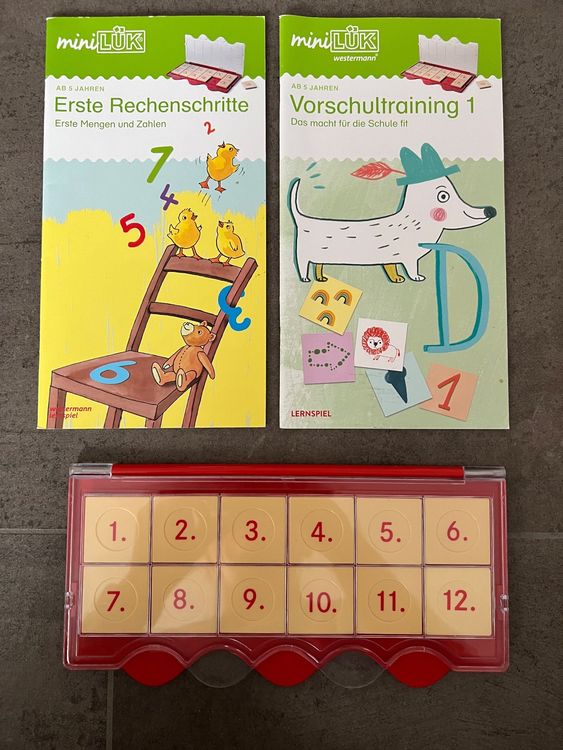 miniLÜK Kontrollgerät mit Klarsichtteil (Gebraucht) in Hunzenschwil für ...