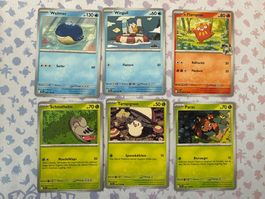 Diverse Pokemon Karten - Reisegefährten