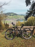 Giant Anthem X 29” | Shimano XT | Fox Float | Grösse M