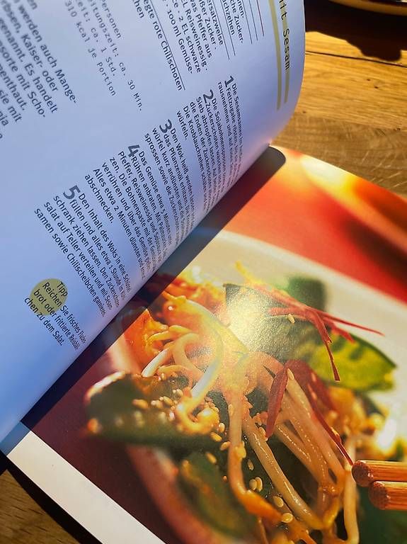 Bücher: Zwei Kochbücher kochen mit dem Wok – Gebraucht aus Scharans von csp_sbl5 3