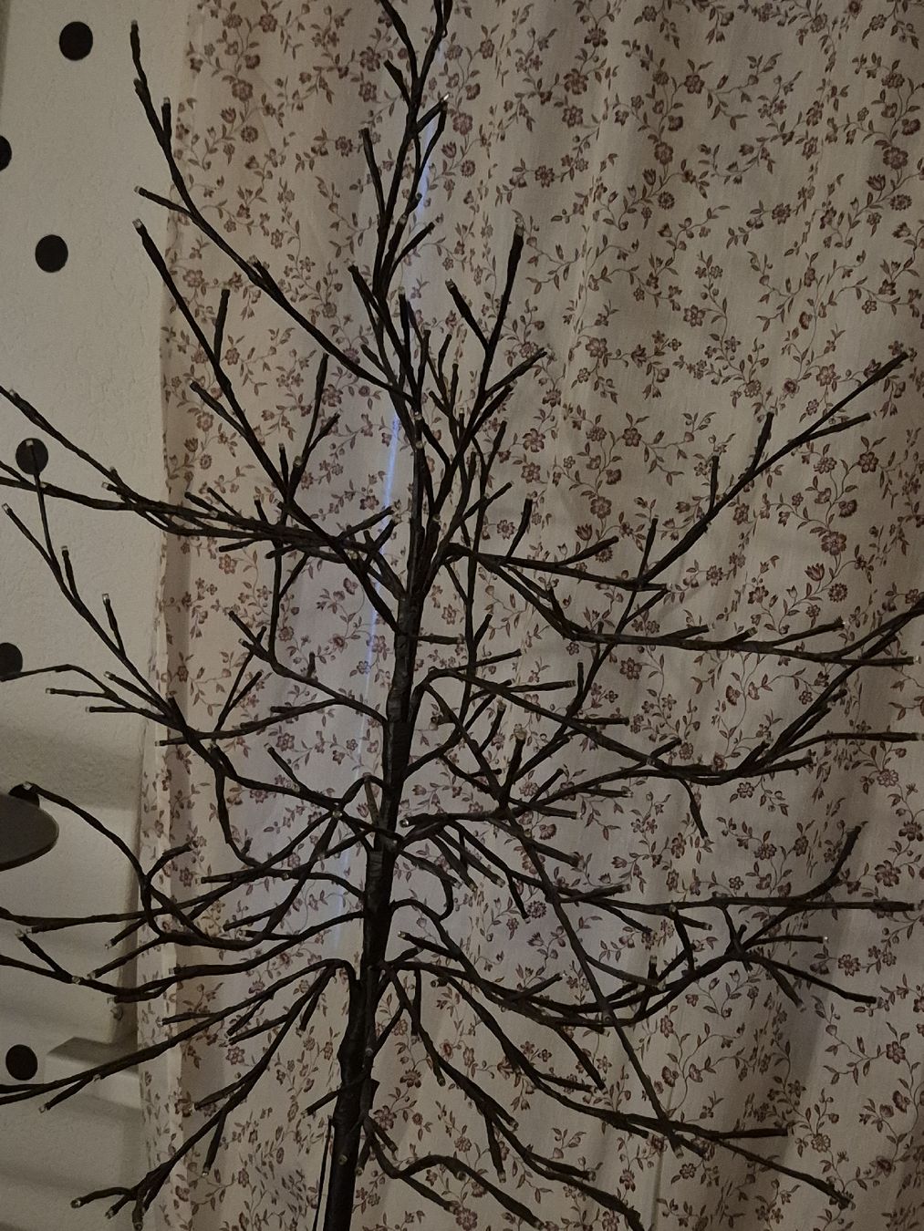 Tutte le decorazioni: Lichterbaum, LED Baum, Leuchtbaum – Usato da Luzern venduto da san_sch5 1