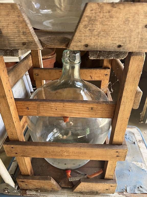 Accessori: Mostflasche im Holzgestell – Usato da Tegerfelden venduto da bae_fhy9