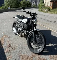 Ducati Scrambler 800 von 2015