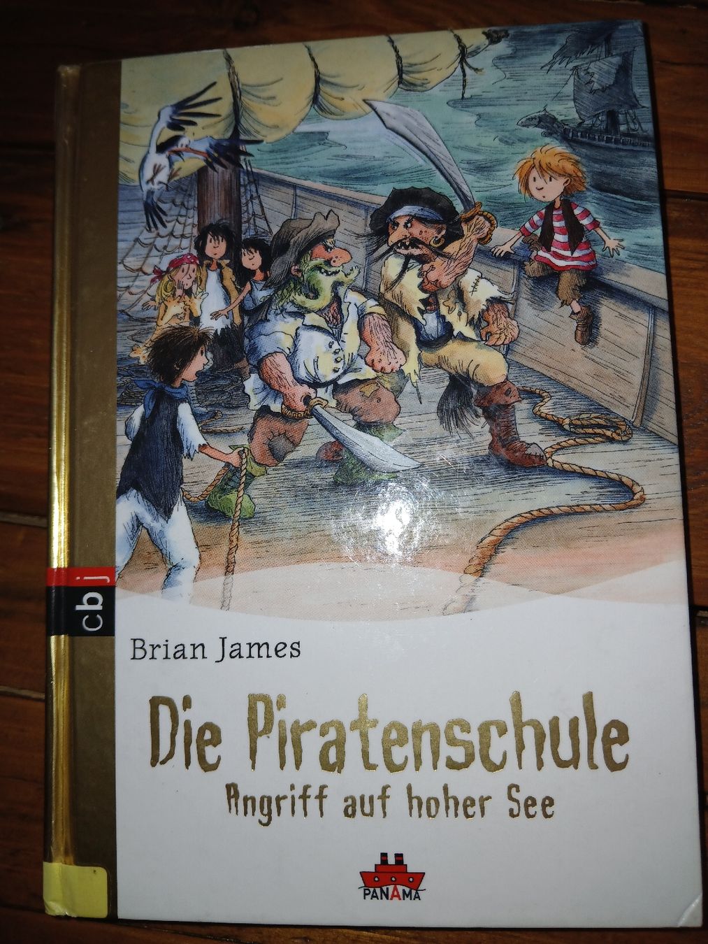 Libri: cbj Piratenschule – Usato da recherswil venduto da papamoll71