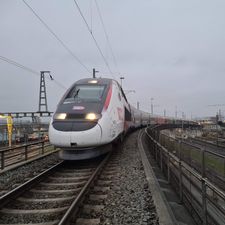 Profile image of simtek_de