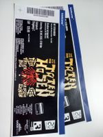 Konzert, die toten Hosen, trink aus wir müssen gehen