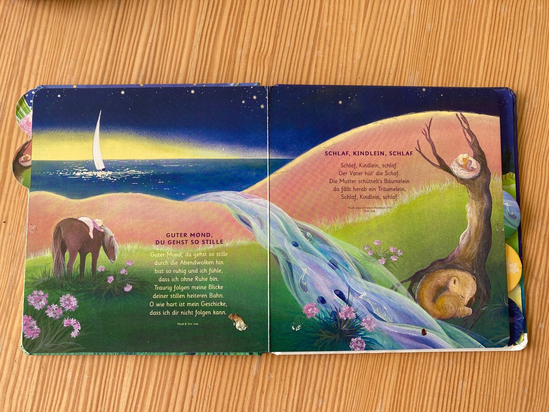 Libri: Meine liebsten Schlaflieder – Usato da Baden venduto da Yoyo1 2