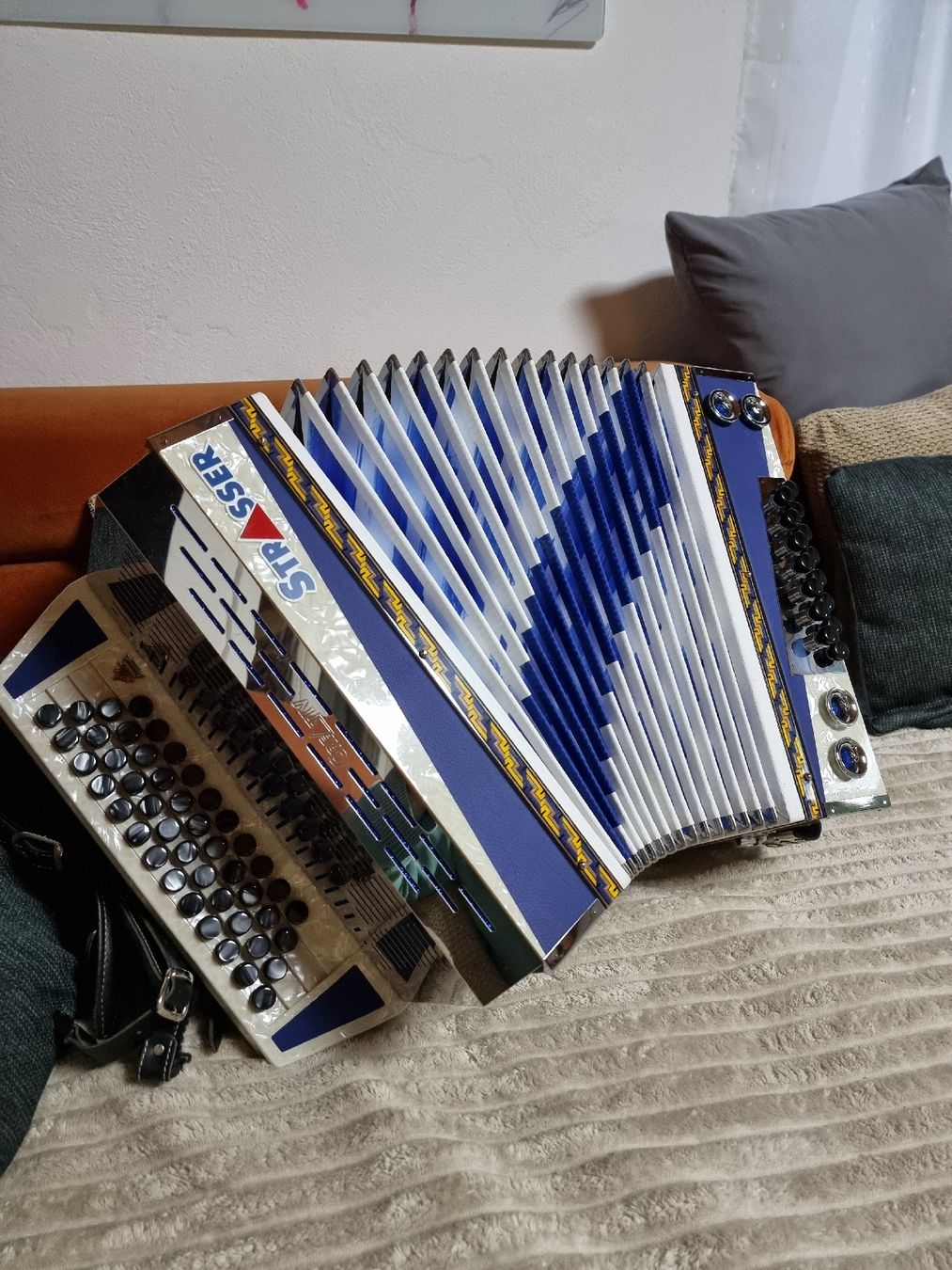Musikinstrumente: Strasser Harmonika GCFB Steirische – Neu (gemäss Beschreibung) aus Erschwil von hexeraus 1