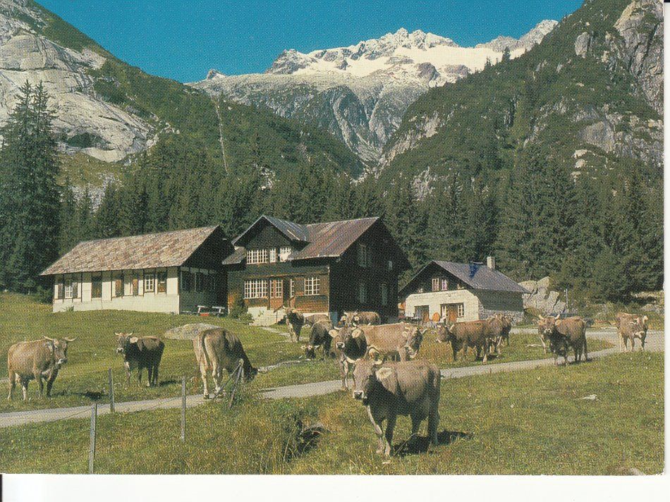 Cartoline postali: Handeck 1986 – Usato da Bürglen TG venduto da StampGraf
