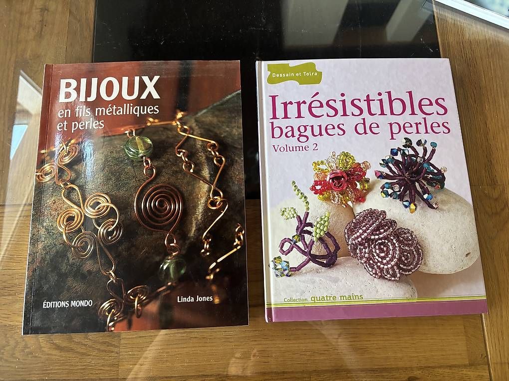 Libri: 2 livres confection de bijoux – Usato da Perroy venduto da barballalla