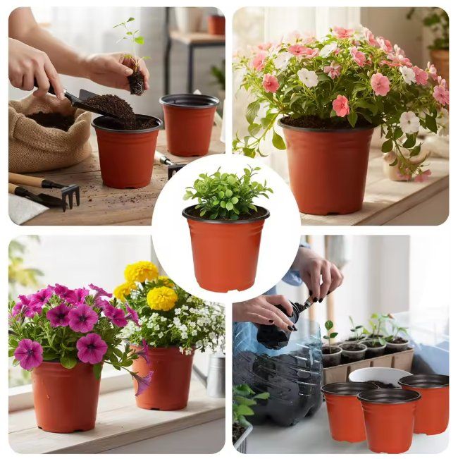 Vasi per fiori: 20x Anzuchttöpfe 10cm flach für Kräuter, Sukkulenten Kakteen – Nuovo e nell'imballaggio originale da Dintikon venduto da Prime-shop 1