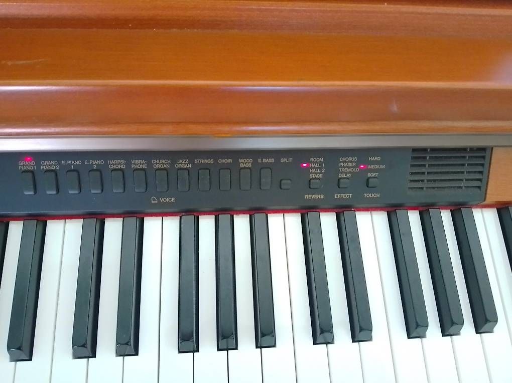 Strumenti musicali: Yamaha E-Piano – Usato da Zürich venduto da DonikaI 4