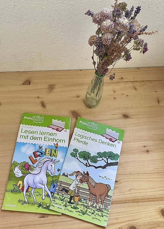 Spiele: Mini LÜK ab 5 Pferd und Einhorn – Gebraucht aus Stetten AG von kristinabrita