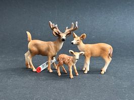 Schleich Weisswedelhirsch Hirsch Kuh Weisswedel