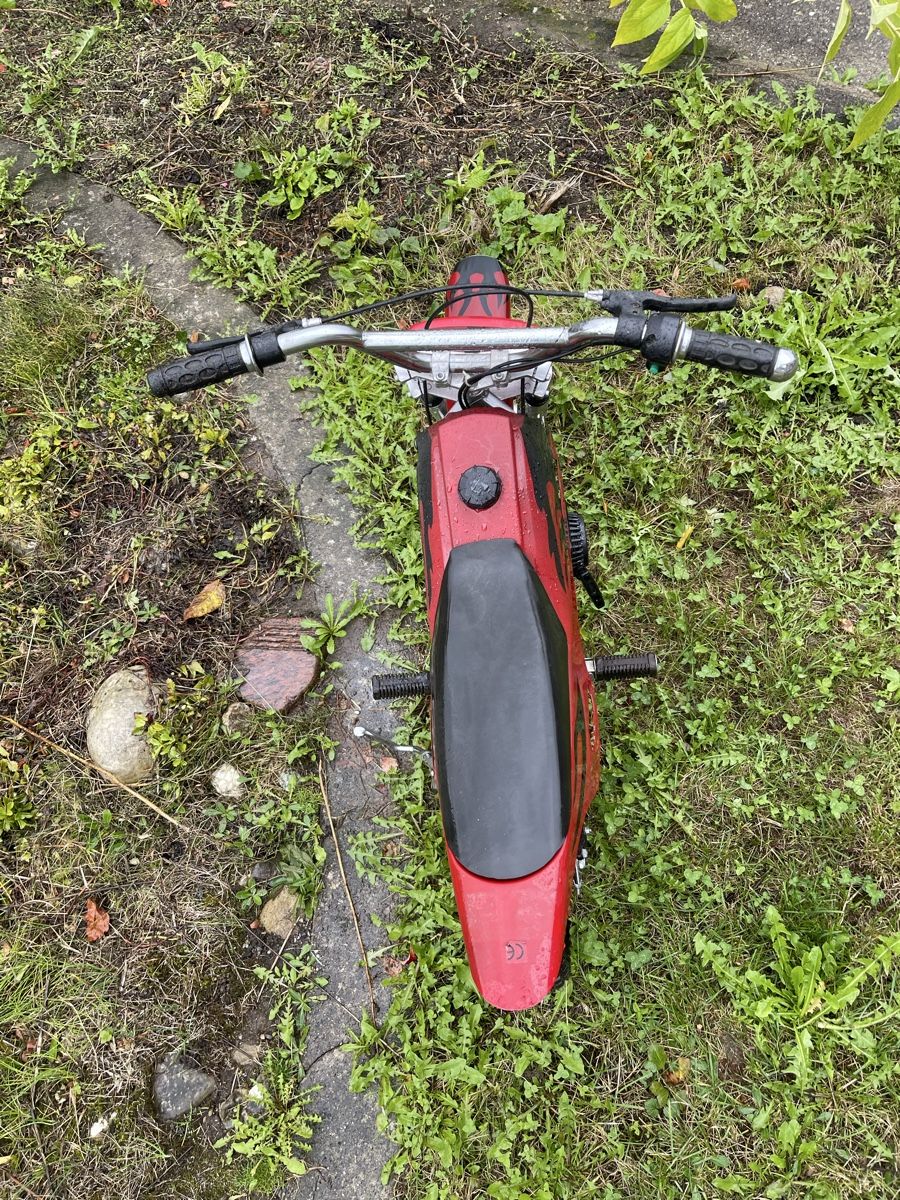 Mini Bike: Pocket Bike – Usato da Oberkirch LU venduto da zih_76qm 4