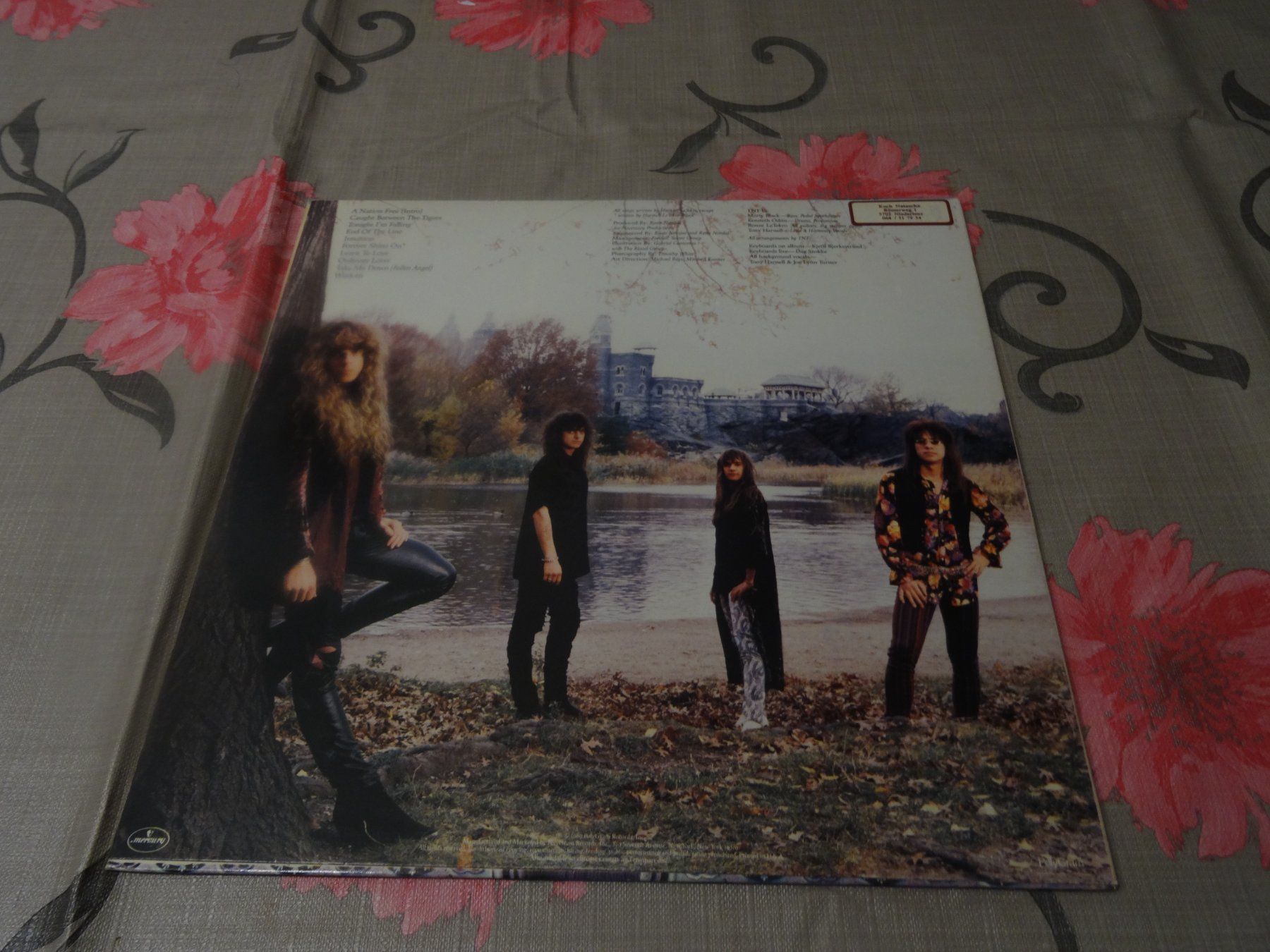 Vinyles: Tnt -  Intuition LP – D'occasion à Olten par Disc-Ausverkauf 1