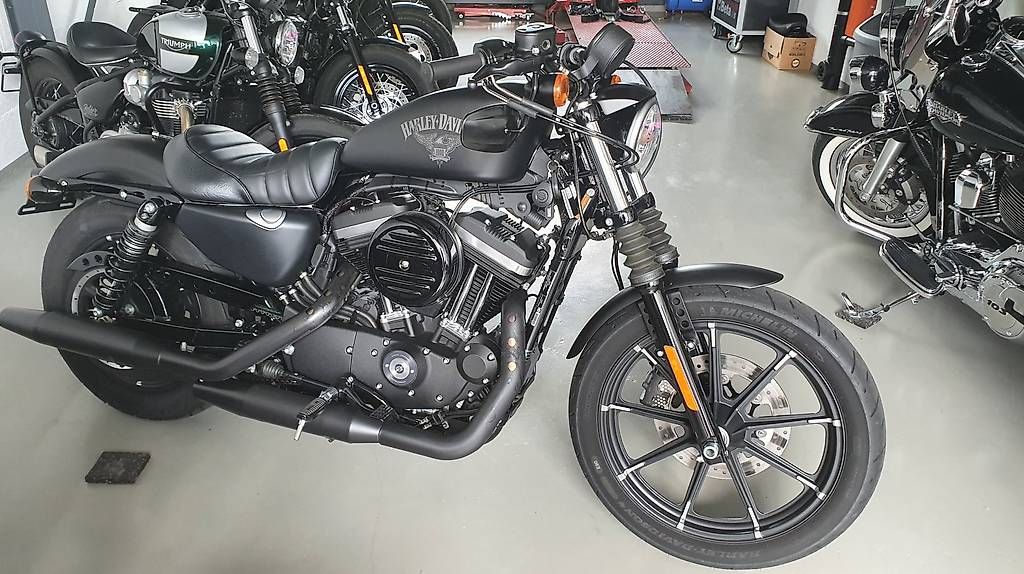 Harley-Davidson Chopper: Harley Davidson Iron 883 – Usato da Emmenbrücke venduto da danxsam