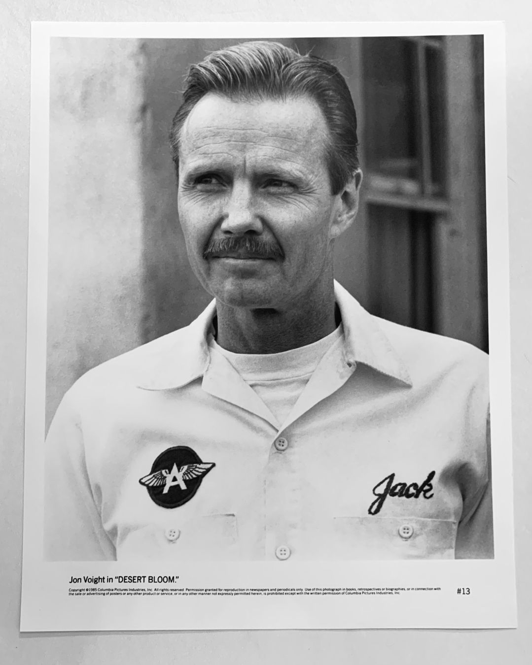 Posters & Illustrations: Foto 1985 Jon Voight in Desert Bloom – D'occasion à Bern par Artbrokerswitzerland