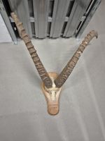 Steinbock Geweih / Hörner,, Val Chamuera 1986,  Jagdtrophäe