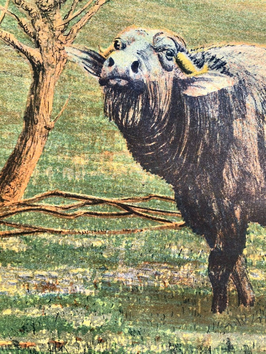 Grafica & Litografie: Lithographie von Hansjörg Flückiger 1983 – Usato da Winterthur venduto da Barunggeli 7