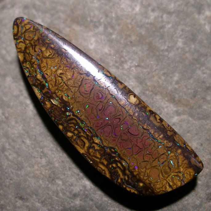 Edelsteine: theOPAL *** YOWAH BOULDER MATRIX OPAL 18,69ct *** – Neu und originalverpackt aus Ebnat-Kappel von theOPAL 1
