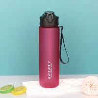 Sportliche Wasserflasche SPIRIT, rosa, 750ml