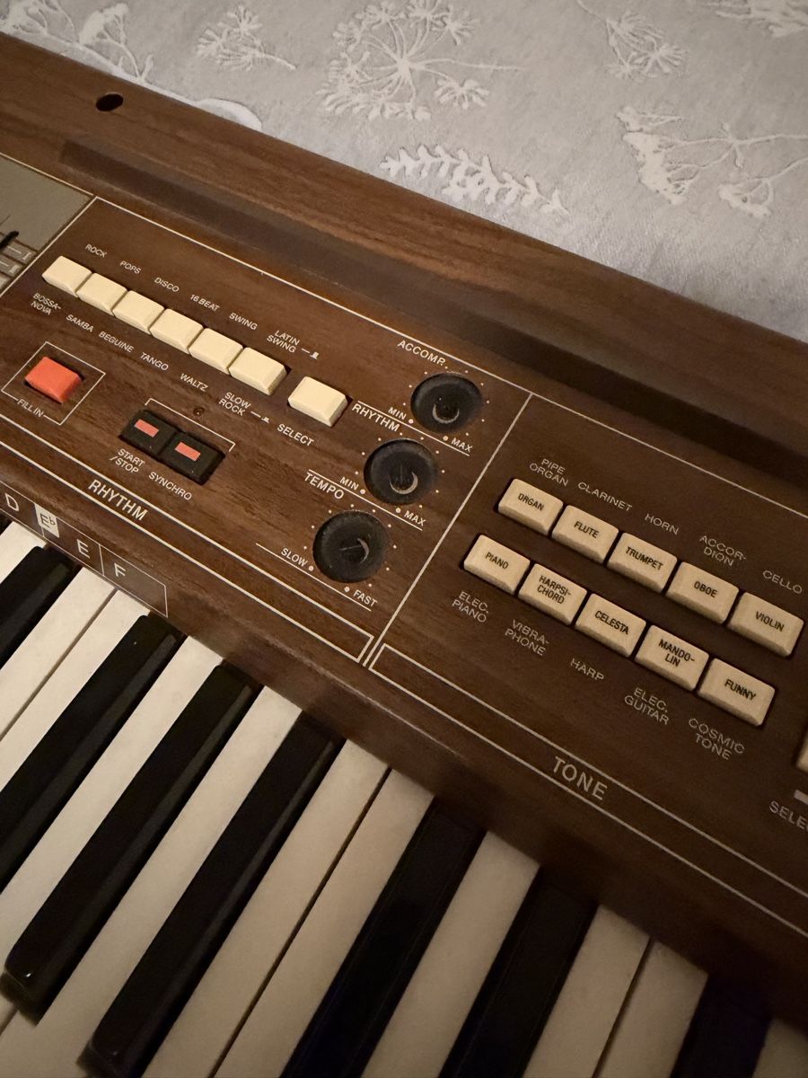 Casio Strumenti musicali: Casiotone 405 vintage Orgel – Usato da Basel venduto da schaeryo 1