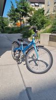 20 Zoll Kokua Kindervelo