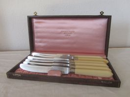 Messer Set Schoder Thun im Kasten 6 Stk.