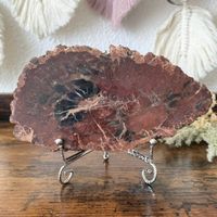 ✲ Versteinertes Holz Fossil ✲ 572g / 158mm Petrified Wood