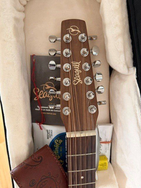 Seagull Strumenti musicali: Neuwertige SEAGULL EX WN 12-string – Usato da Birsfelden venduto da Eric2198 1