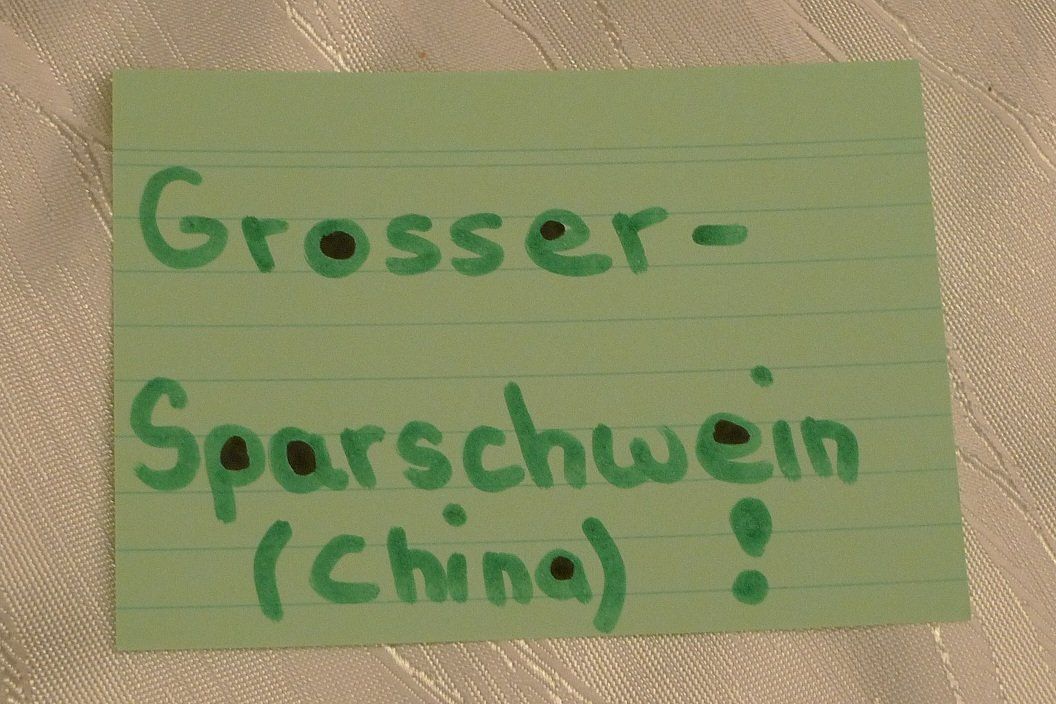 Salvadanai: Grosser Sparschwein (China)! – Usato da Bern venduto da bn1640 6