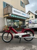 Puch Maxi S mit Ausweis