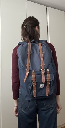 Backpack Rucksack Herschel blue damaged with red pattern