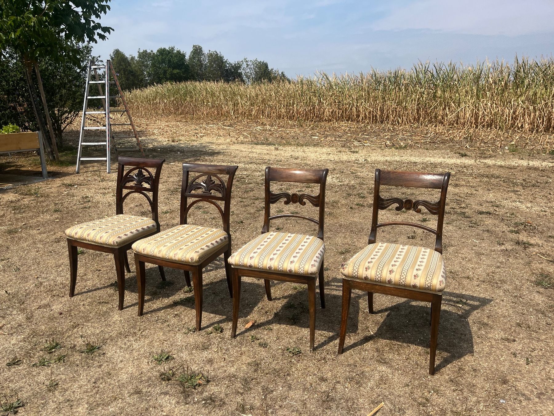 Stühle: 4 Stühle – Gebraucht aus Allmendingen b. BE von juair 5
