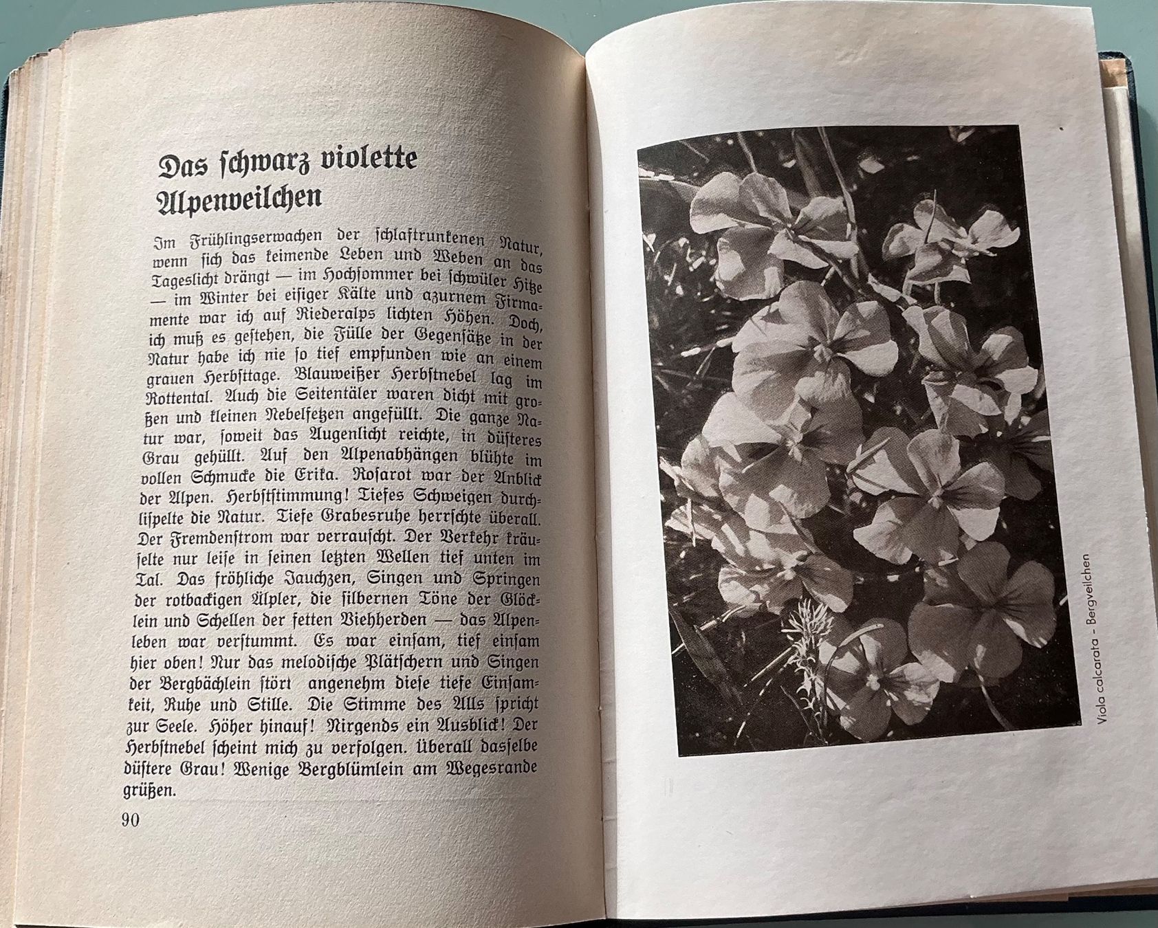 Libri: Riederalp - Basil A. Martig – Usato da Crans-Montana venduto da plainemorte 5