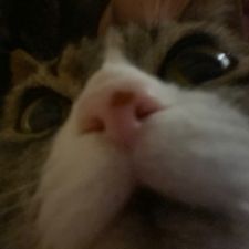 Profile image of rea_d9zb