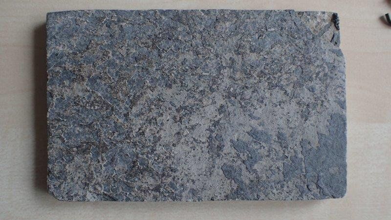 Fossili: fossiler Fisch aus China – Usato da Rickenbach BL venduto da Oktober68 5