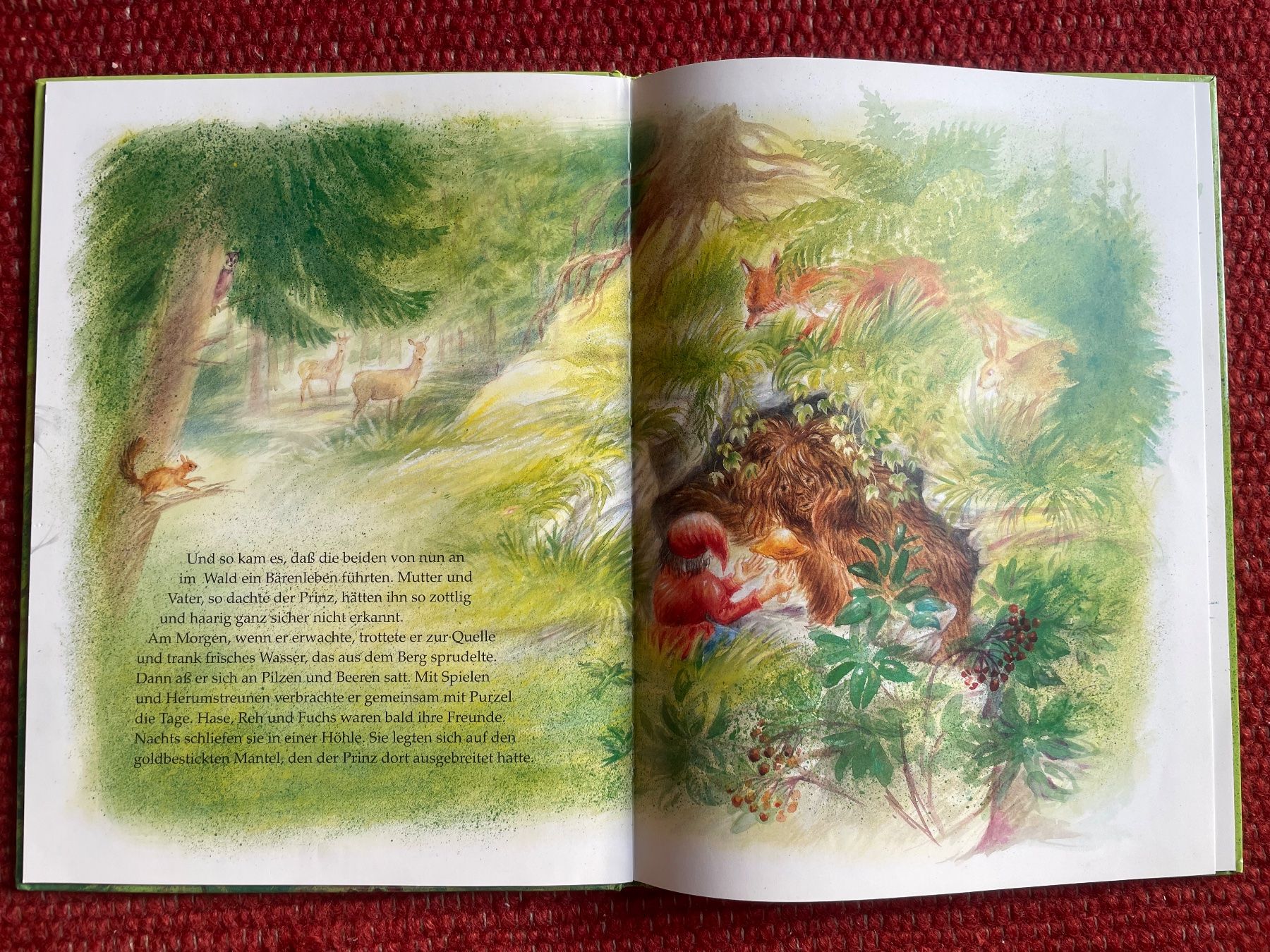 Libri: Der Bärenprinz Gabriele Gernhard Eichenauer-Urachhaus – Usato da Dornach venduto da tom_xy85 3