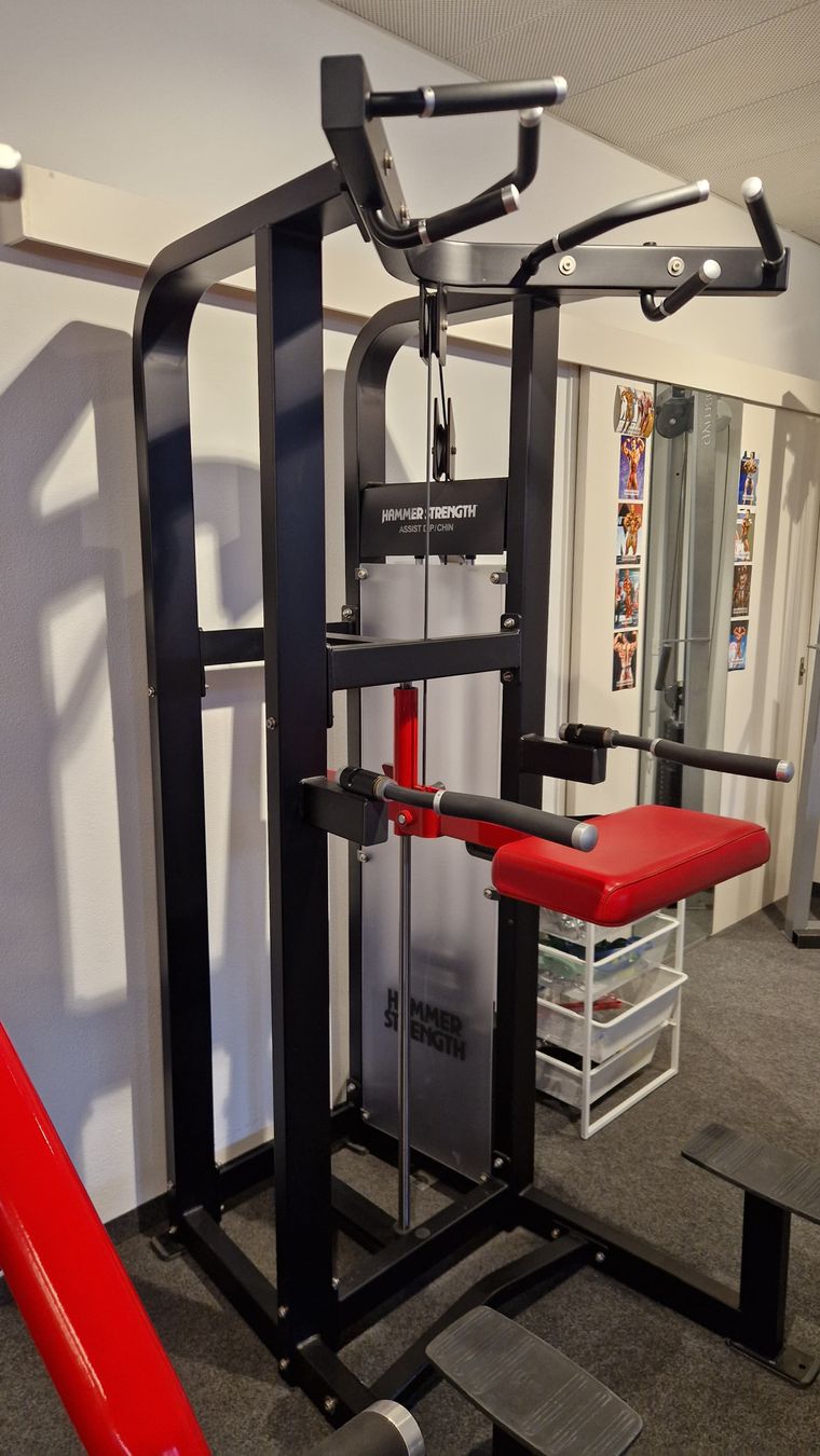 Life Fitness Hometrainer: Hammer Strength Klimmzug/Dip unterstützt – Usato da Mauren venduto da ehr_5cy6