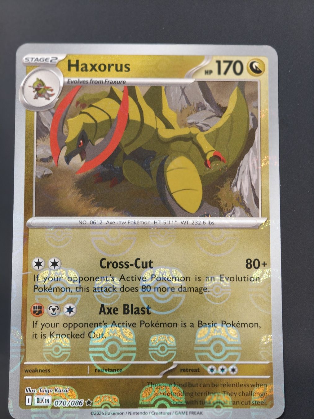 Pokémon Carte collezionabili: Haxorus Masterball 070/086 EN – Nuovo (secondo la descrizione) da Therwil venduto da Cordachu_Trade