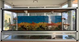 Terrarium 150x75x65 cm (Alu/Glas) – Komplettset (Bartagame)