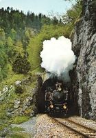 BRÜNIGBAHN verlässt Kirchettunnel (Meiringen-Innertkirchen)