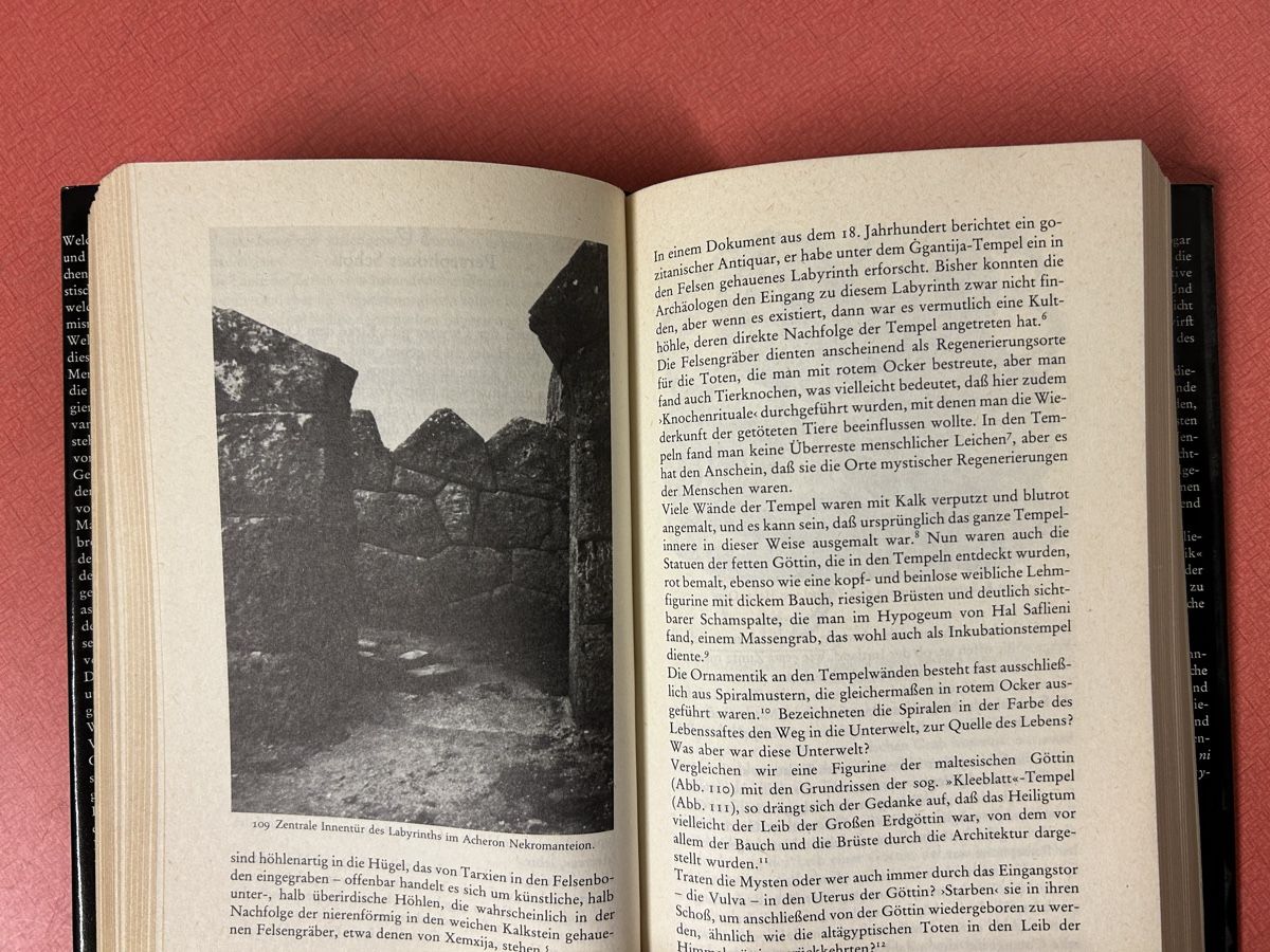 Libri: Hans Peter Dürr - Sedna: Seltenes Buch. – Usato da Lanzenhäusern venduto da vic63 7